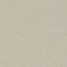 Bone Swatch Teaser