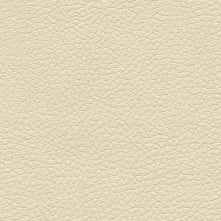 Cream Swatch Teaser