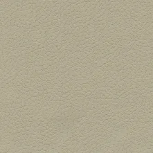 New Sand Swatch Teaser