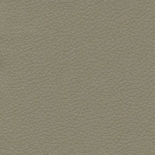 Putty Swatch Teaser