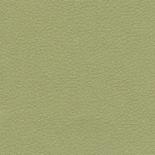 Celery Swatch Teaser