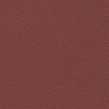 Salsa Swatch Teaser
