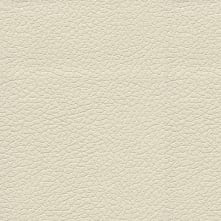 Birch Swatch Teaser