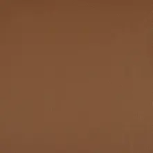 Camel Swatch Teaser