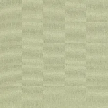 Yucca Swatch Teaser