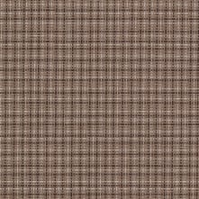 Grain Swatch Teaser