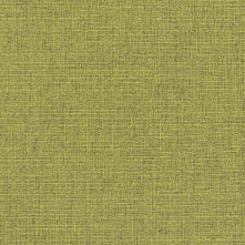 Fern Swatch Teaser