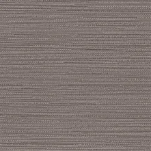 Pumice Swatch Teaser