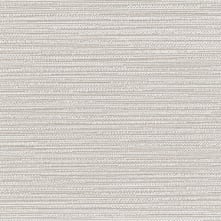SANYA CV Swatch Teaser