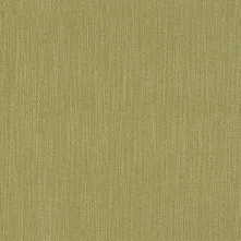 Spring Swatch Teaser