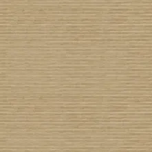 CHANNEL Swatch Teaser