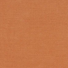 Tangerine Swatch Teaser