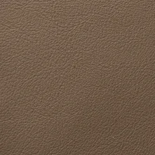 Bark Swatch Teaser