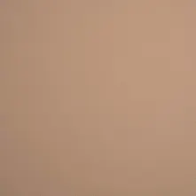 Nutmeg Swatch Teaser