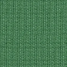 CILANTRO Swatch Teaser