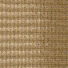 Golden Swatch Teaser