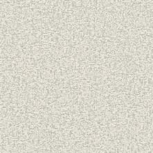 BUNGALOW Swatch Teaser