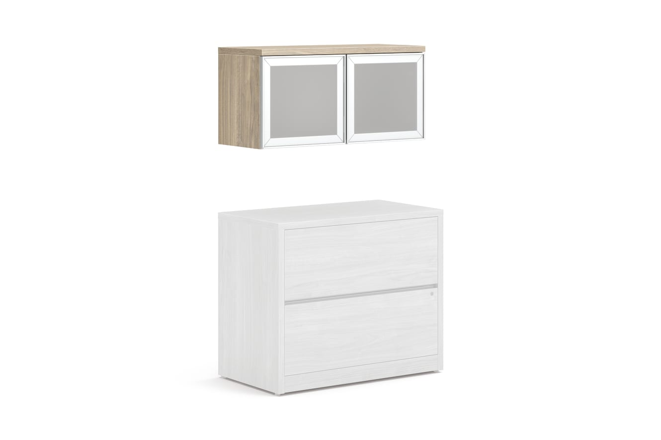 10500 Series wall-mounted storage with frosted doors