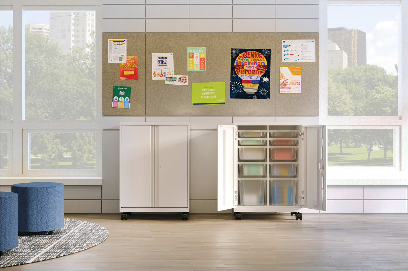 SmartLink Mobile Storage and Flock Mini Cylinder