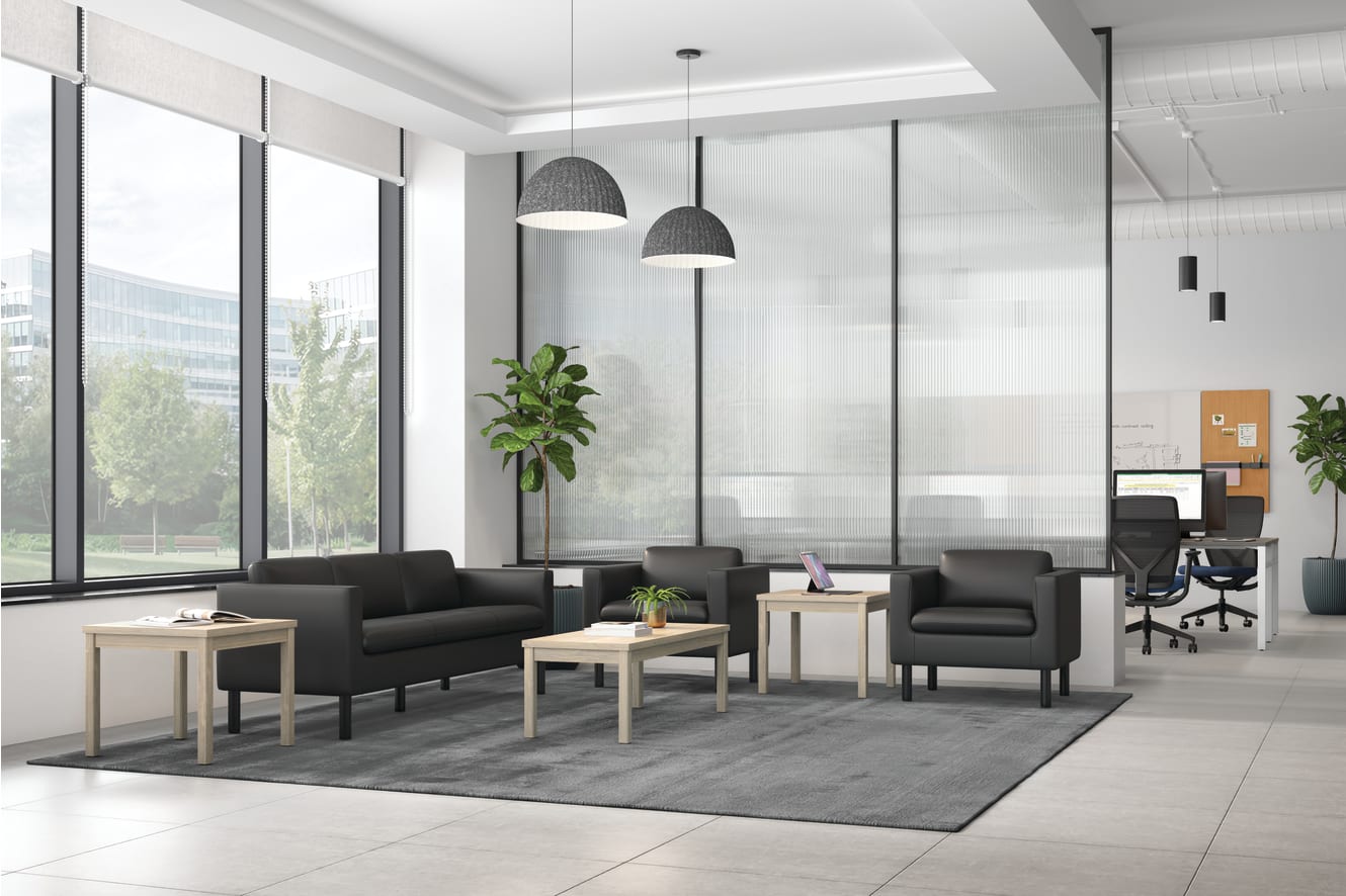 Flexion Task Chair, Parkwyn Sofa