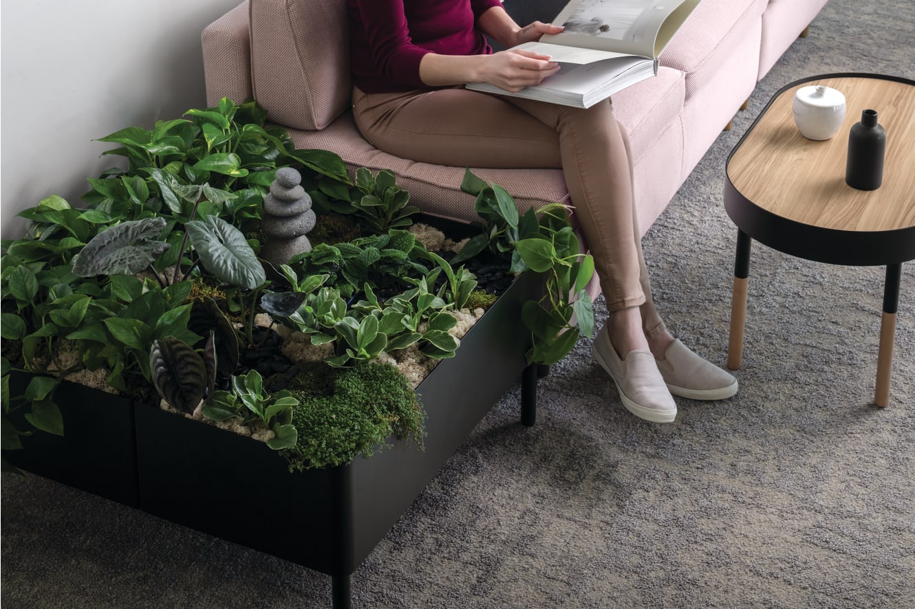 Sculpt Planter