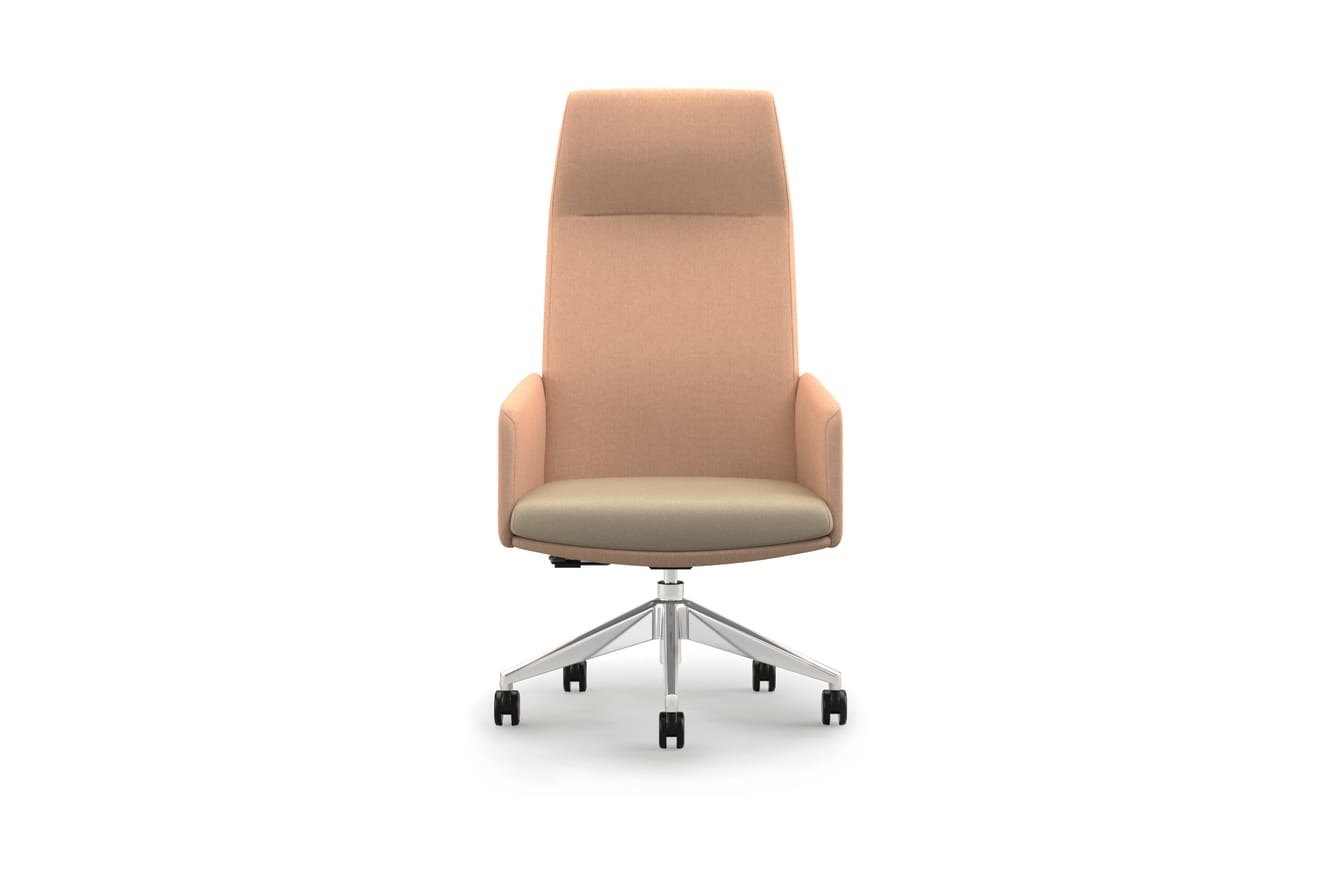 Mav Dual Fabric High-Back with Arms and 5-Star Base