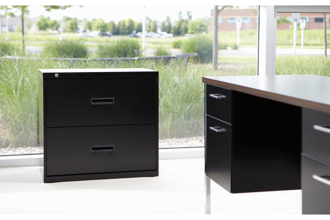 Two black filing cabinets are situated in an office setting, with a grassy outdoor area visible through a large window in the background.