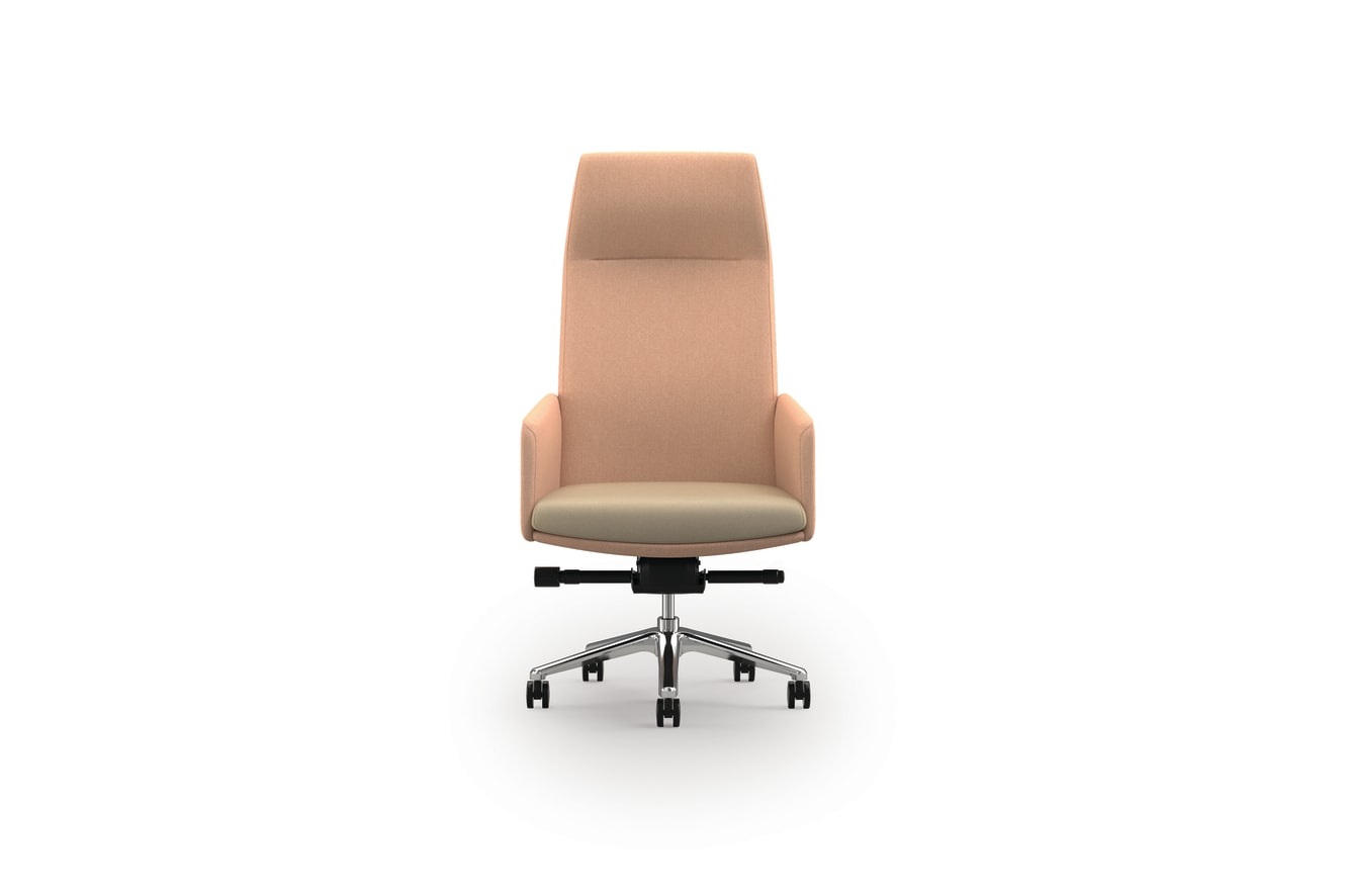 Mav Dual Fabric High-Back Chair with 5-Star Base