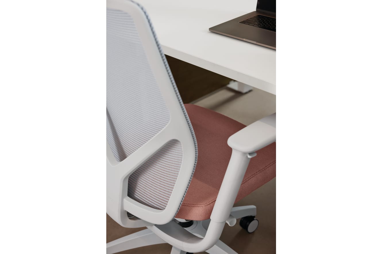 Empower Height-Adjustable Benching and Flexion seating
