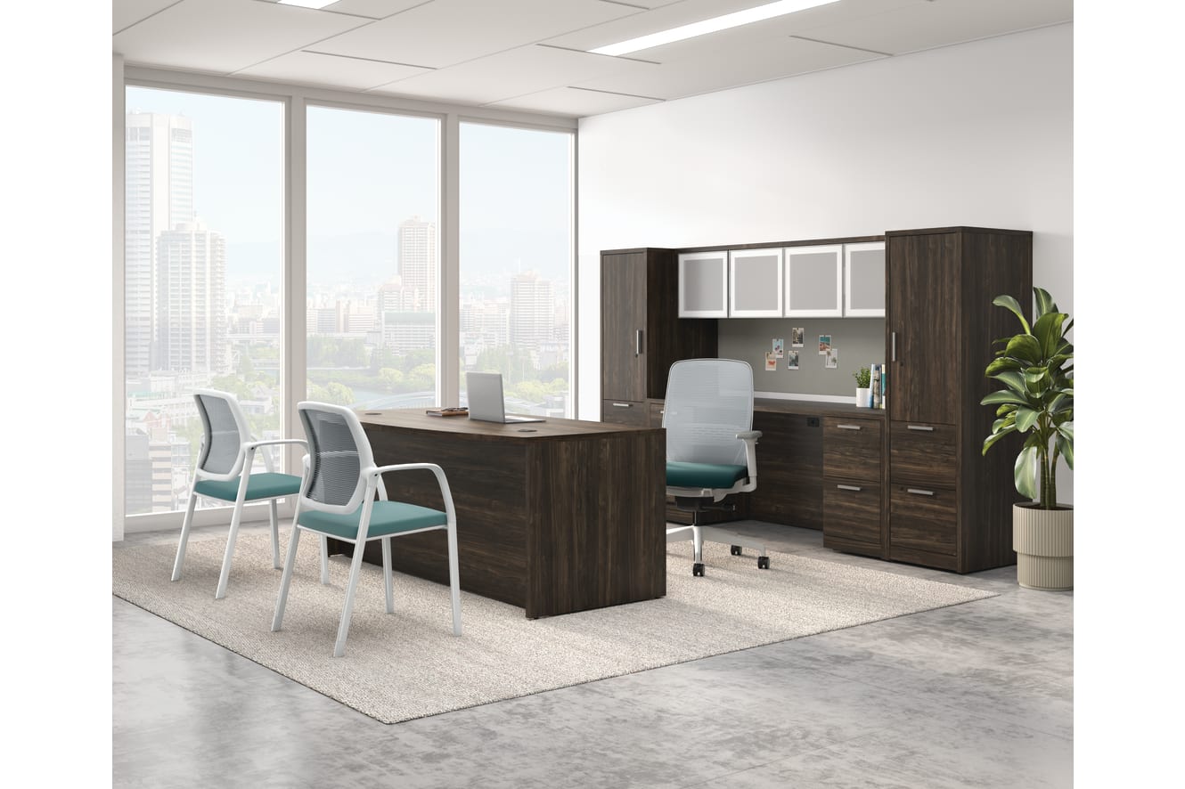 Executive office with dark wood desk, matching storage cabinets, ergonomic chair, guest chairs, and large windows overlooking city skyline.