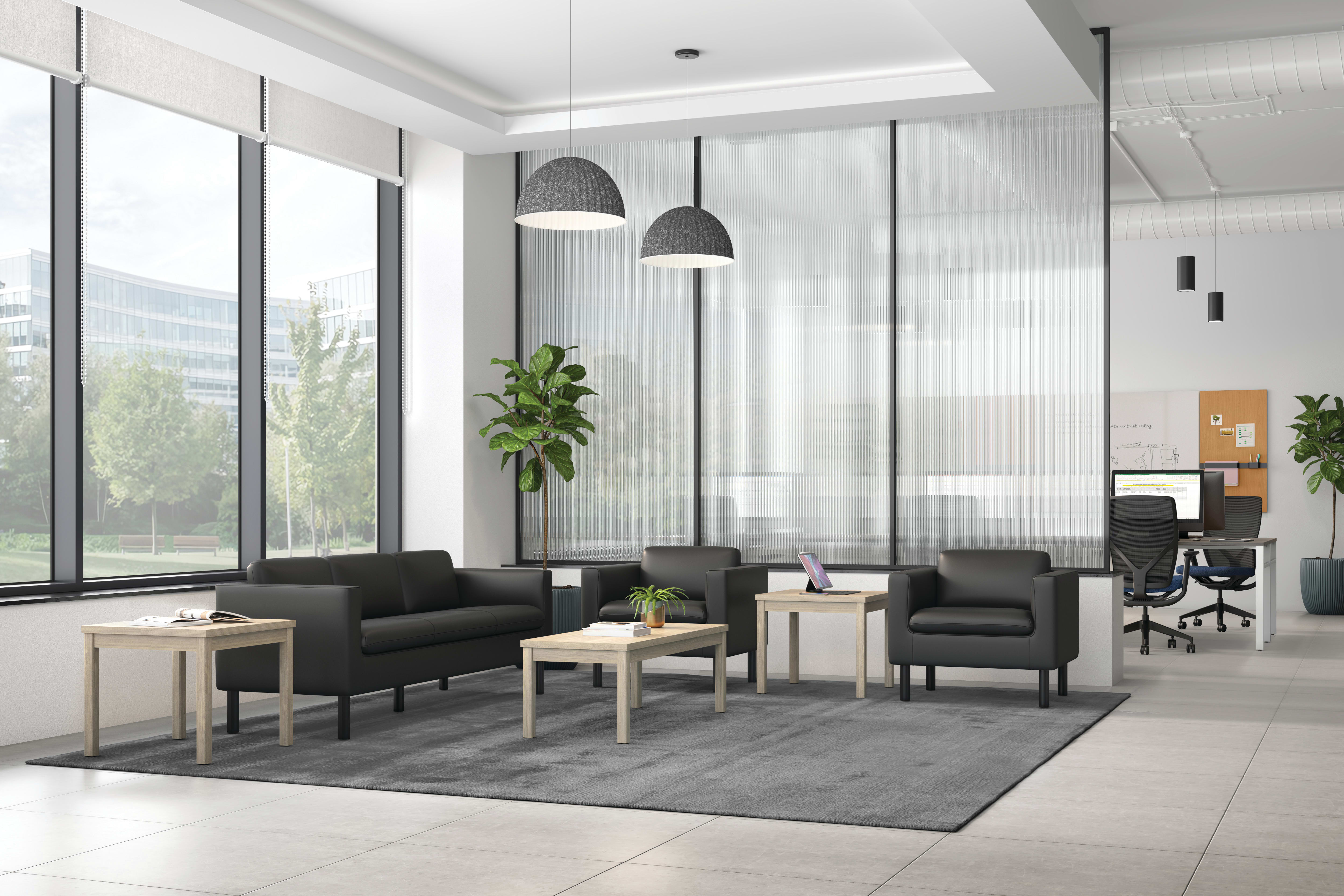 Flexion Task Chair, Parkwyn Sofa