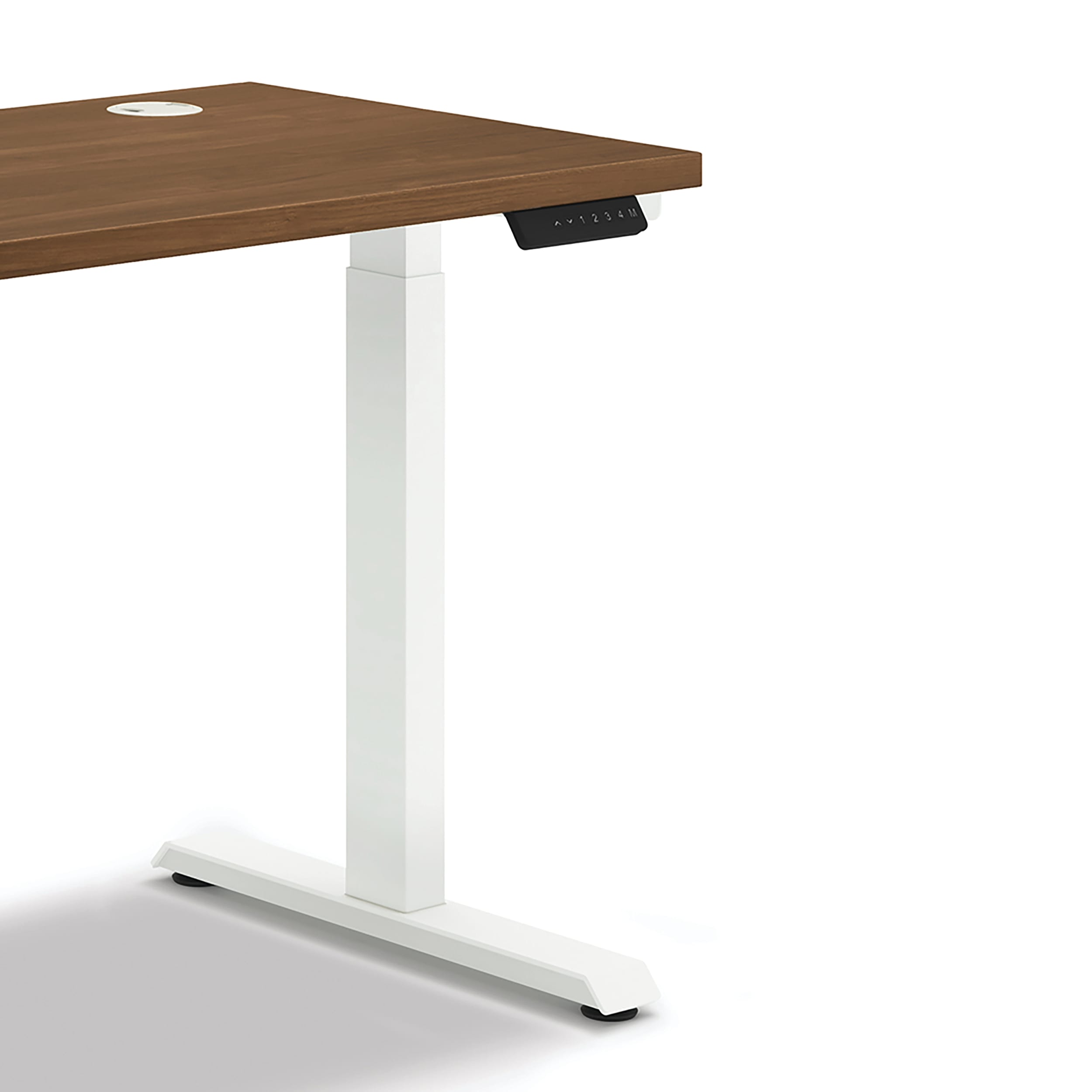 Coordinate height-adjustable base in White