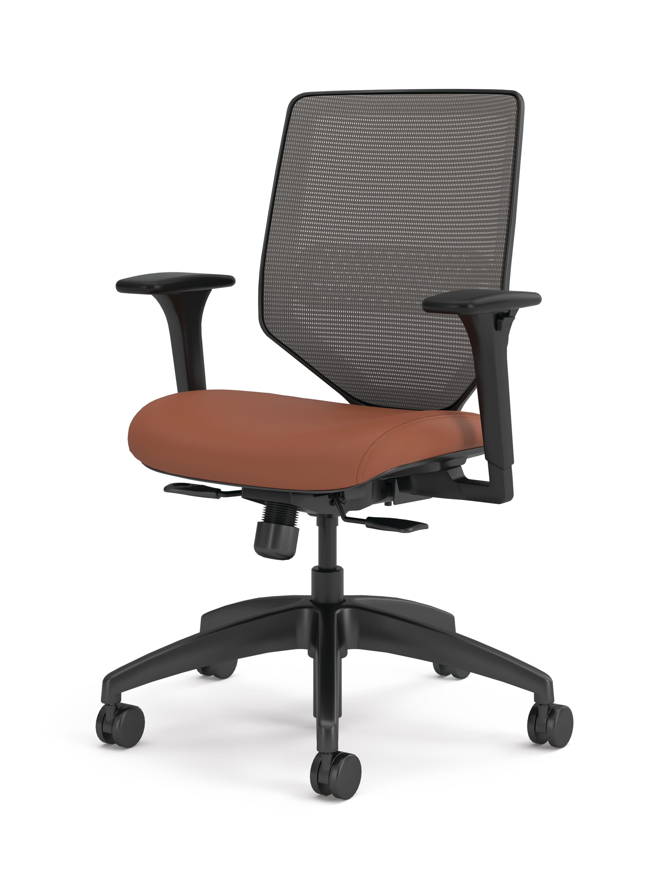 Solve Mesh Back Task Chair