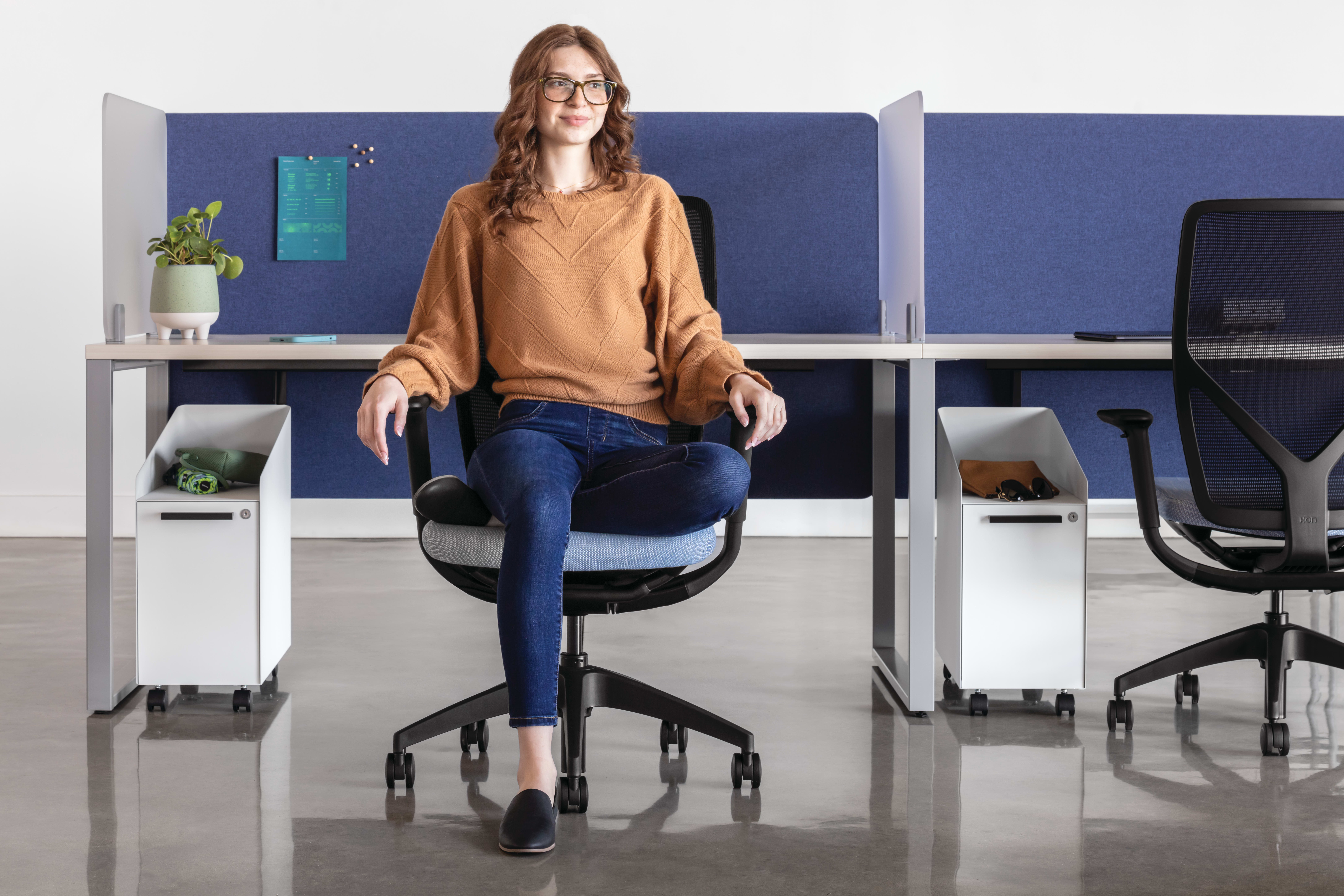 Flexion Seating, Voi Desks, Fuse Storage, Universal Screens