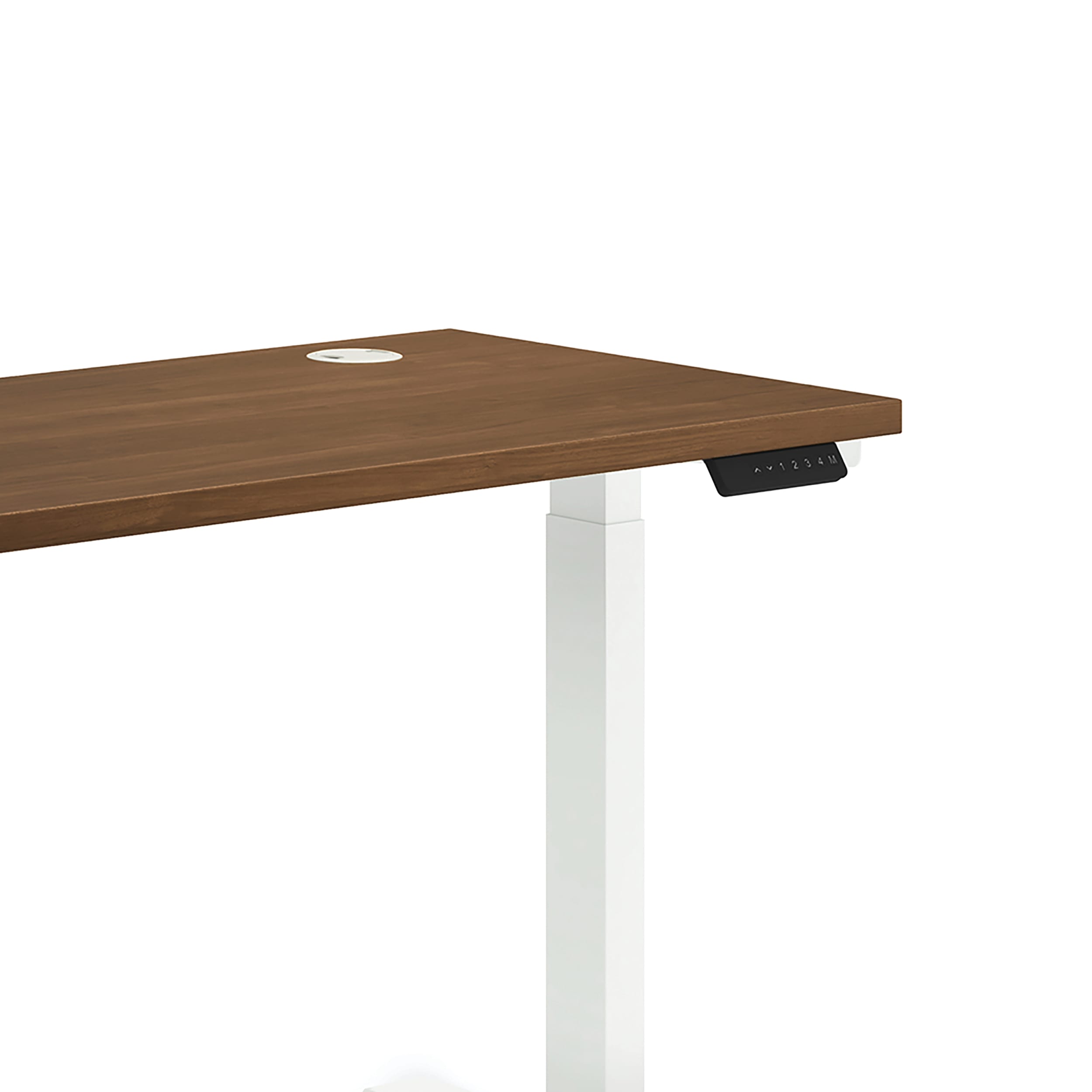 Coordinate height-adjustable base in White