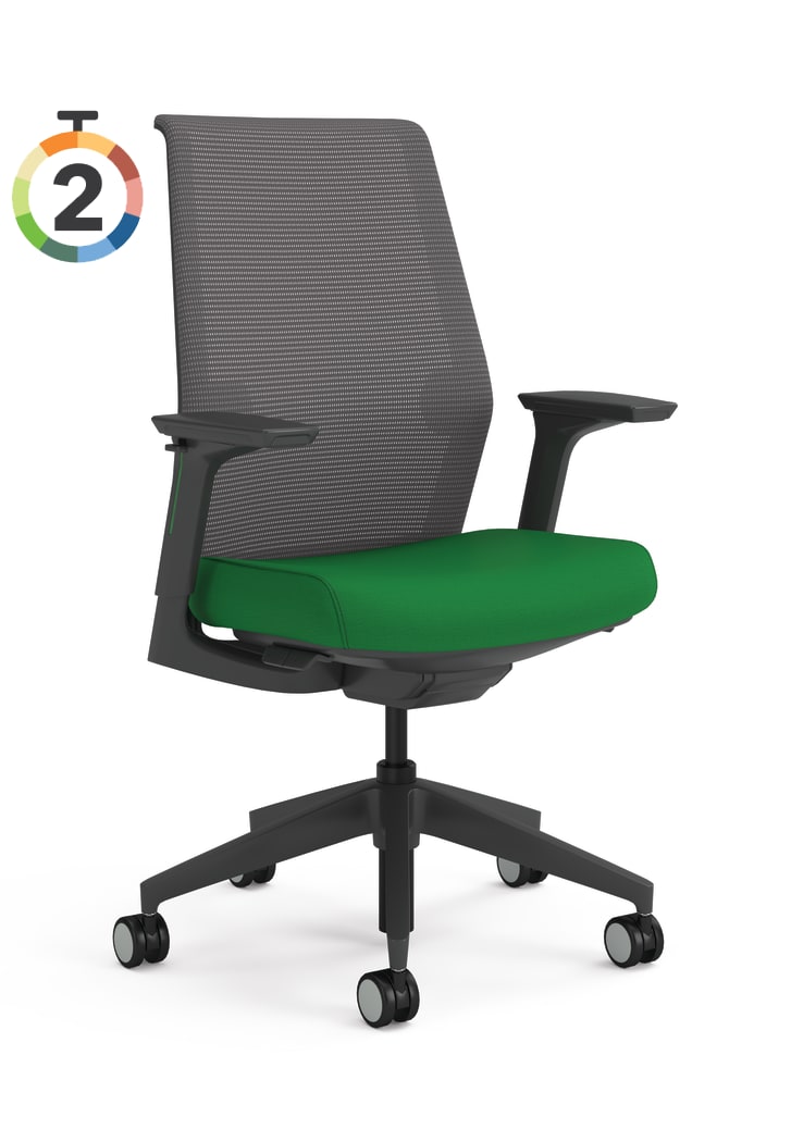 Cipher Task Chair