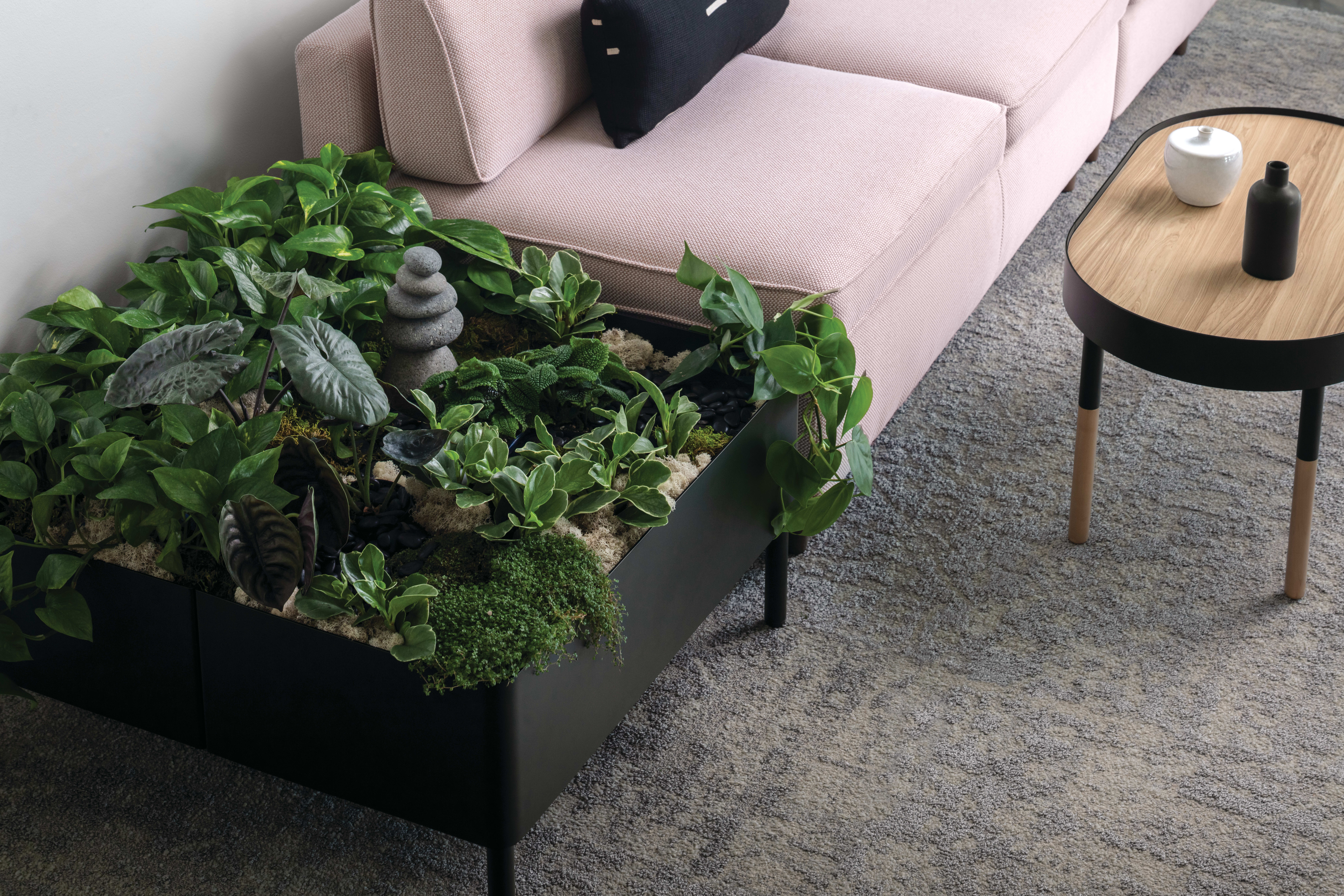 Sculpt Planter