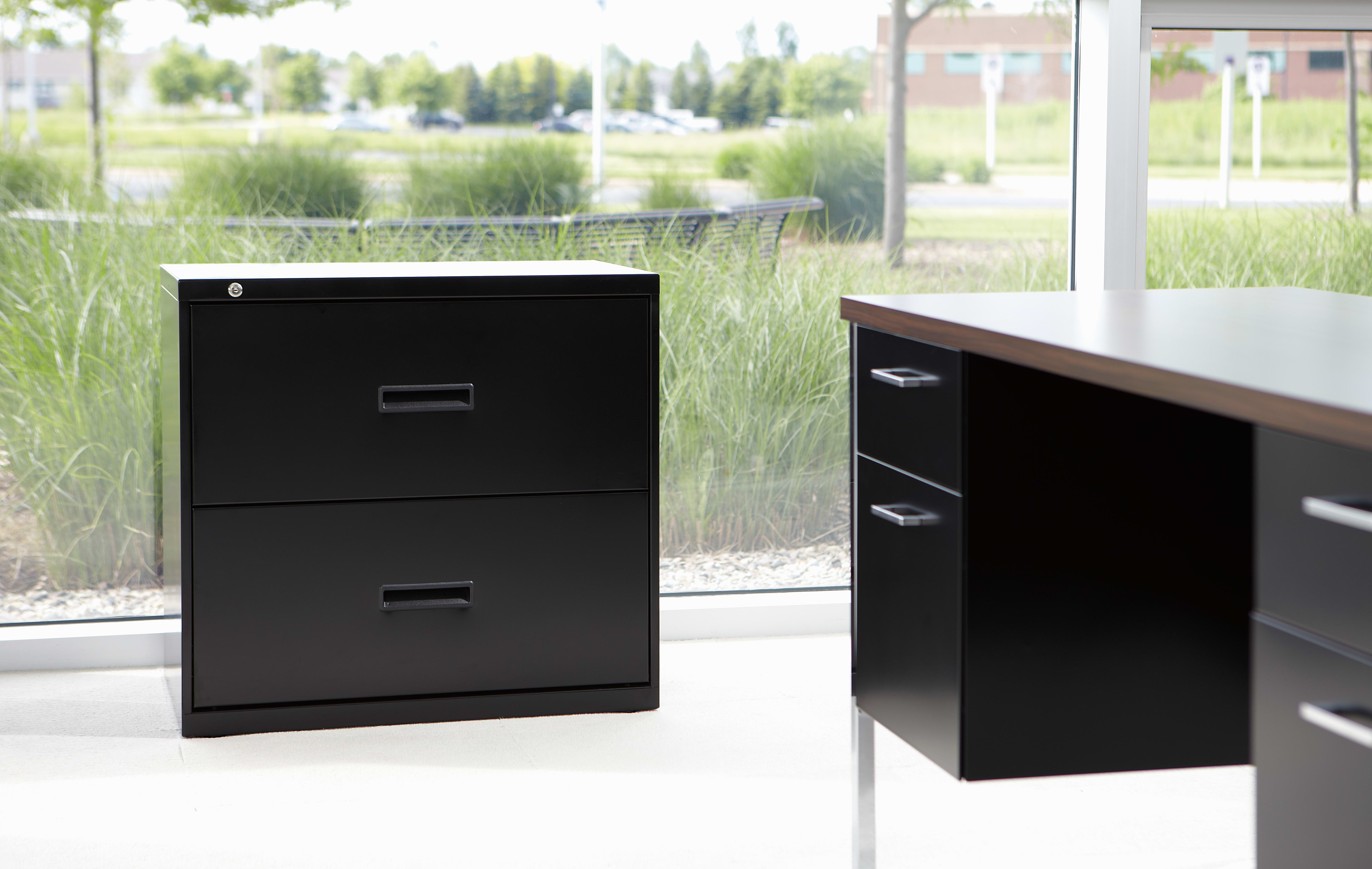 Two black filing cabinets are situated in an office setting, with a grassy outdoor area visible through a large window in the background.