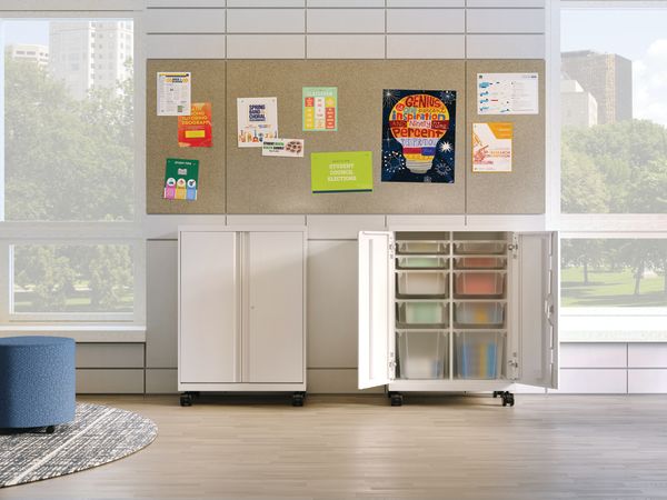 SmartLink Mobile Storage and Flock Mini Cylinder