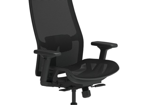 Ignition chair