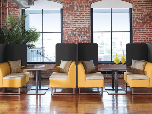 HON-Astir-Birk-500-003