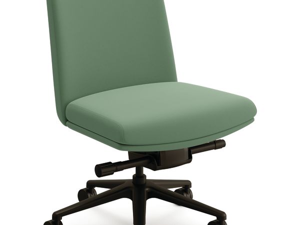 Mav Armless Mid-Back Chair with 5-Star Base