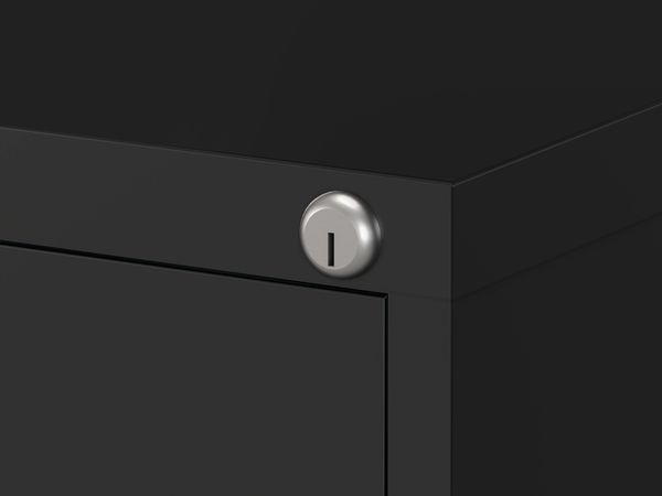 310 Series vertical file lock