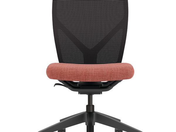 Flexion Mesh Back Task Chair