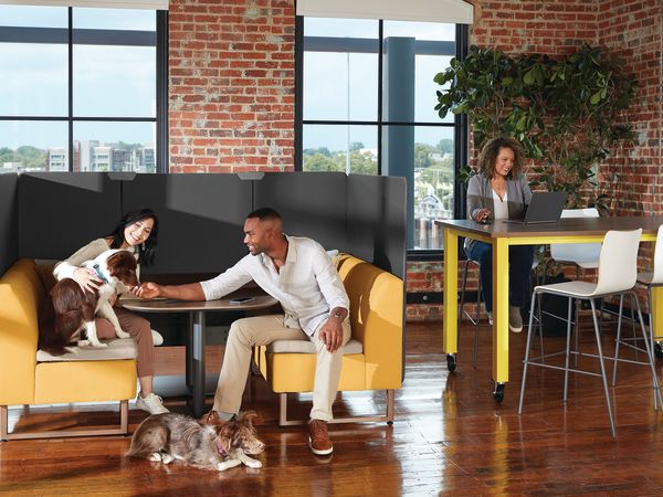 HON-Astir-Preside-500-001