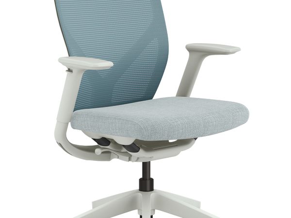Flexion Mesh Back Task Chair