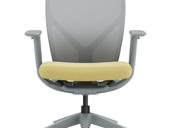 Flexion Mesh Back Task Chair