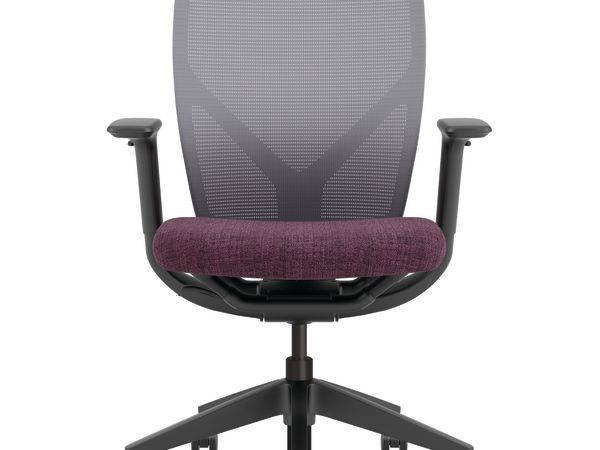 Flexion Mesh Back Task Chair