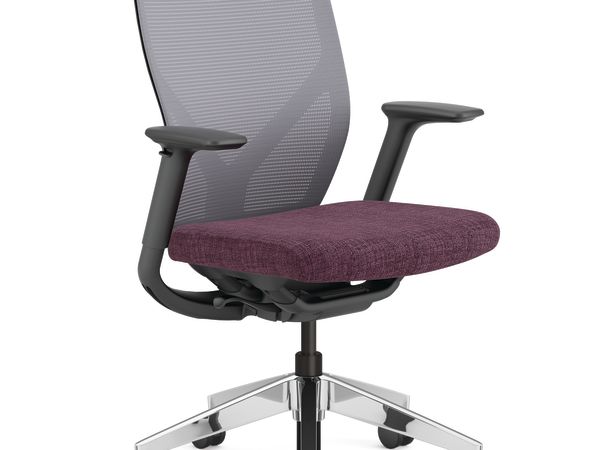 Flexion Mesh Back Task Chair