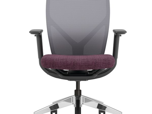 Flexion Mesh Back Task Chair